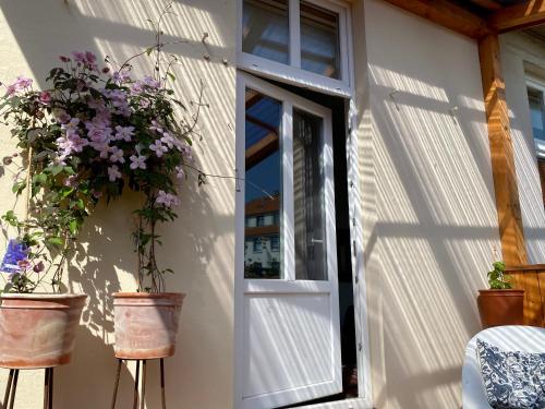 Zahrada ubytování Kläve12 Guesthouse
