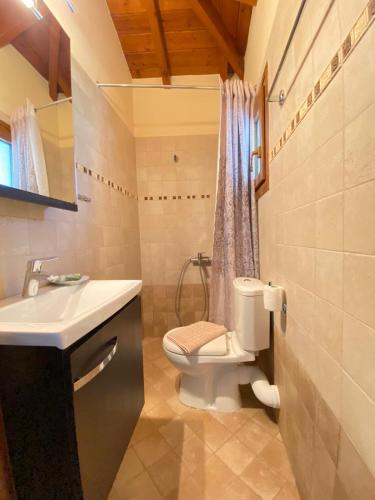 a bathroom with a toilet and a sink at Esperides Parga Studios in Parga