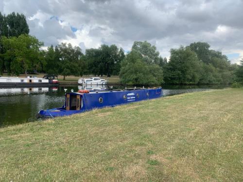 Niebieska łódź na rzece w pobliżu pola w obiekcie Narrowboat stay or Moving Holiday Abingdon On Thames DIFFERENT RATES APPLY ENSURE CORRECT RATE SELECTED w mieście Abingdon