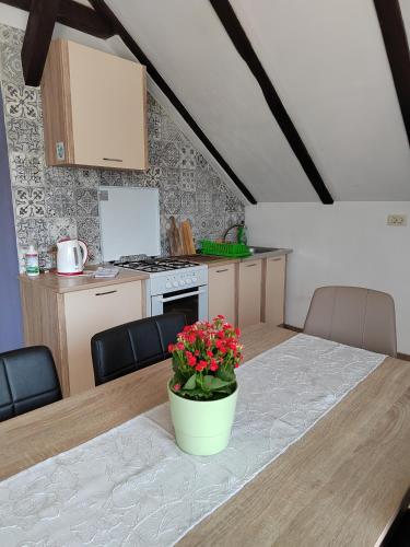 a kitchen with a table with a pot of flowers on it at Planinski kutak in Lovinac