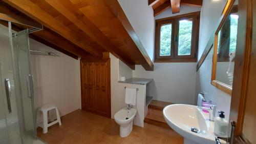 a bathroom with a white toilet and a sink at Apartamentos El Haya in Cosgaya