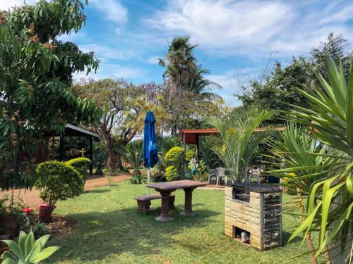 um jardim com uma mesa de piquenique e um guarda-sol azul em Jozini Guesthouse em Jozini