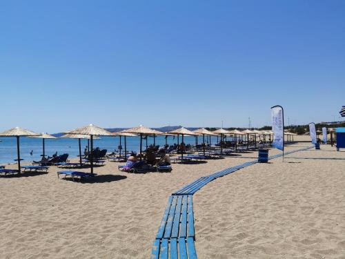 Blue View Zefiros