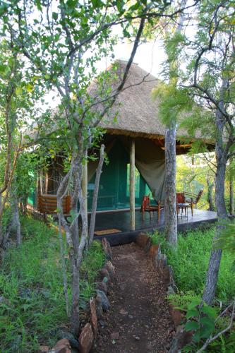 a green house with a thatched roof and some trees at Parsons Hilltop Safari Camp in Balule Game Reserve