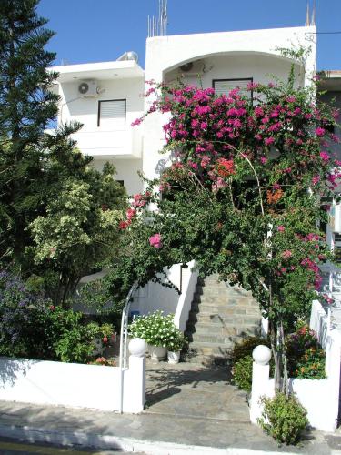Κήπος έξω από το Studios George 