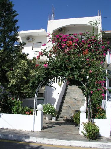 Κήπος έξω από το Studios George 