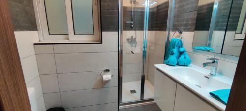a bathroom with a sink and a glass shower at Blu-M Central in Qormi