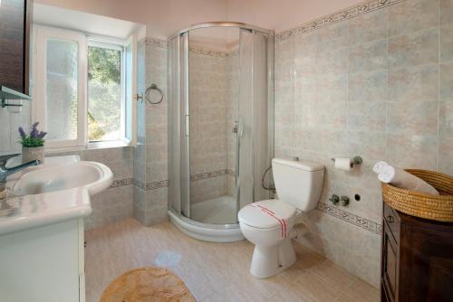 a bathroom with a toilet and a shower and a sink at Angelina Villa by PaxosRetreats in Lákka
