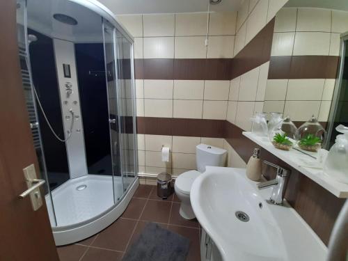 a bathroom with a sink and a shower and a toilet at Serbeca in Broşteni