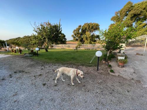 Gallery image of The Arches House Bed and Breakfast IUN F1092 in Alghero