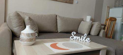 a living room with a couch and a coffee table at Square Apartment in Paraćin