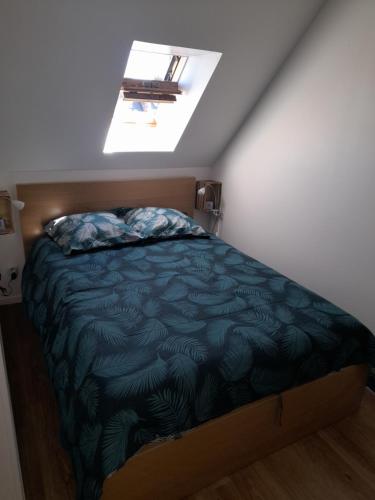 Un dormitorio con una cama y una claraboya. en Le diepplex de Sébelle, en Dieppe