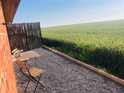 a table and a chair in front of a field at Chambre d hôtes Le Cottage in Boeseghem