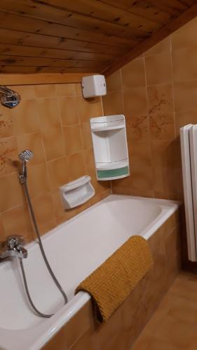 une salle de bain avec baignoire et douche dans l'établissement Casa per vacanze degli gnomi, à Challancin