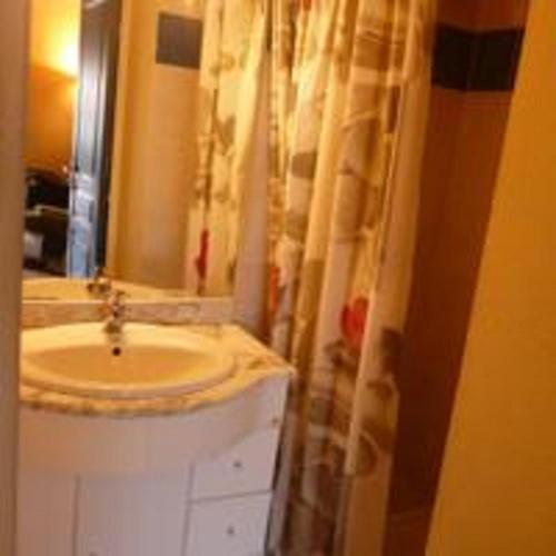 une salle de bain avec un lavabo et un rideau de douche dans l'établissement Les Bastides du Cap, au Barcarès