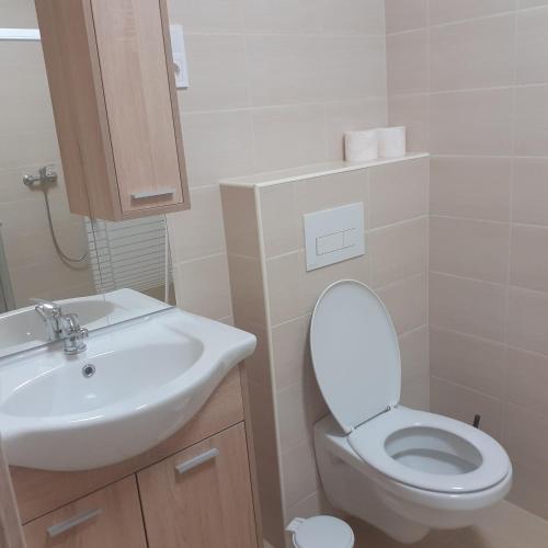 Koupelna v ubytování Borti Apartman