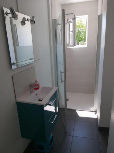 La salle de bains est pourvue d'un lavabo et d'une douche. dans l'établissement Maisonnette 40 m2 pour 5 personnes, à Paray-le-Monial