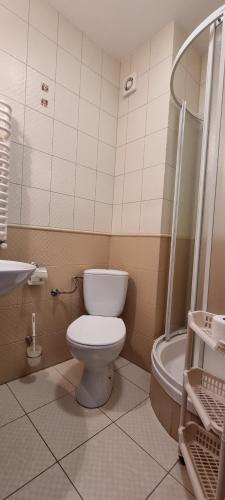 a bathroom with a toilet and a shower and a sink at ŁOMIANKOWA DOLINA Wetlina 112 in Wetlina