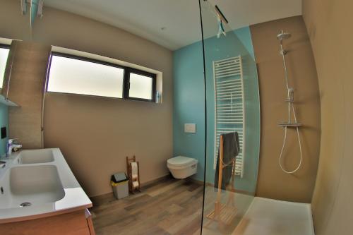 a bathroom with a shower and a sink and a toilet at Vakantiehuisje 't Morehof in Oosterzele