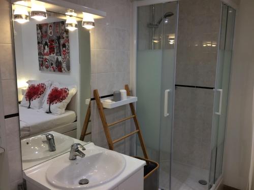 La salle de bains est pourvue d'un lavabo et d'une douche. dans l'établissement SUITE AVEC TERRASSE ET JARDIN AUX PORTES DE PARIS, à Les Pavillons-sous-Bois