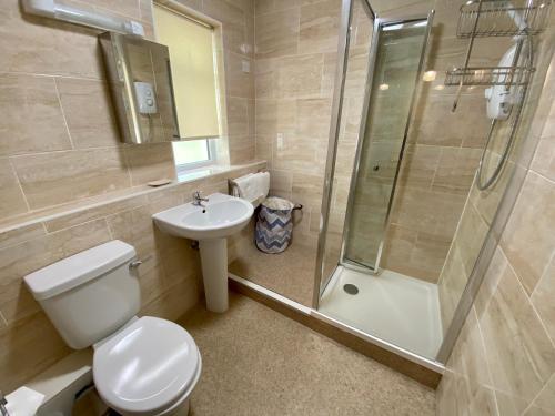 a bathroom with a toilet and a sink and a shower at The Nook in Sidmouth
