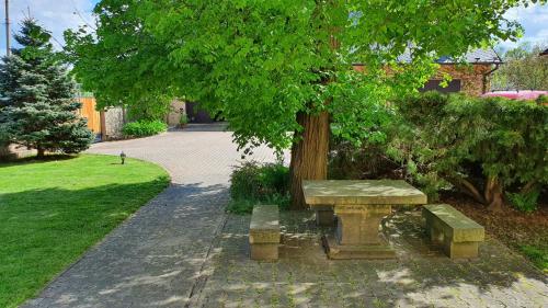 a stone bench sitting next to a tree at Na Statku Babiččino údolí in Česká Skalice
