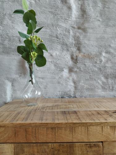 a glass vase with a plant in it on a table at Railway by Staynnapartments in Bilbao