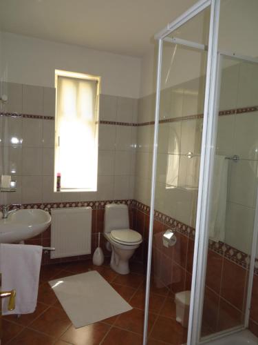 a bathroom with a toilet and a sink and a shower at Tulipán ház in Esztergom