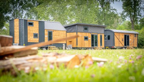 two modular homes in a field with trees in the background at Tiny Houses At Sea in Dronten