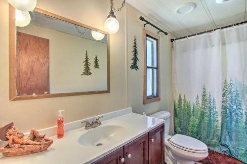 a bathroom with a sink and a toilet and a mirror at Cozy Chiloquin Retreat Less Than 30 Mi to Crater Lake! in Chiloquin