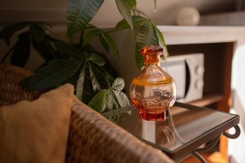 une bouteille de verre assise sur une table en verre avec une plante dans l'établissement Studio cocon sous les toits de Jaurès, à Belfort