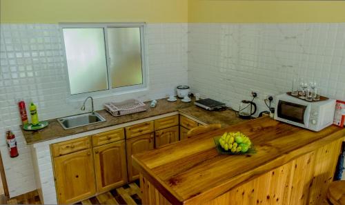 Kuchyň nebo kuchyňský kout v ubytování Villa Rafia
