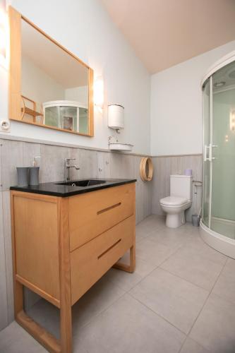 une salle de bain avec un lavabo et un miroir et des toilettes dans l'établissement Maison avec jardin à 2mn du centre, à Périgueux