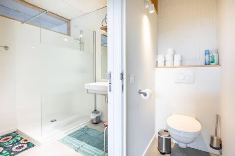 a bathroom with a shower and a toilet and a sink at Vakantiehuis Wandelen en fietsen in de Kalkense Meersen dichtbij Gent in Laarne