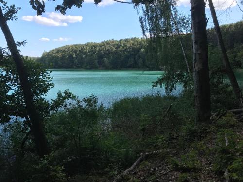 a view of a lake through the trees at Agroturystyka "Zielone Zacisze" in Łagów