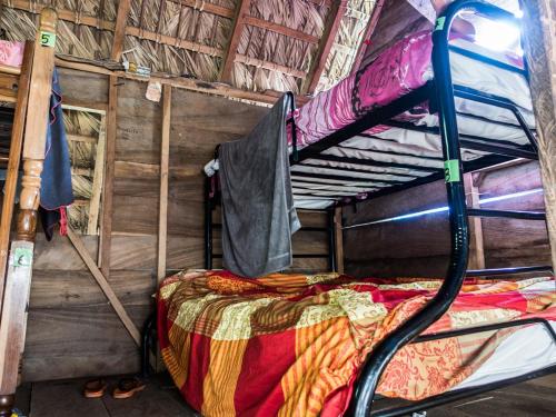 a bunk bed in a room with wooden walls at El Zopilote in Balgue