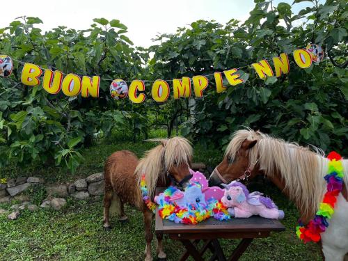 two ponies standing next to a table with stuffed animals at A Cjase di Sandra in Moruzzo