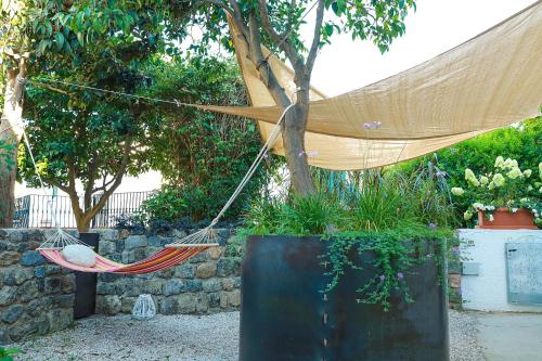 Gallery image of Villa Trani in Ischia