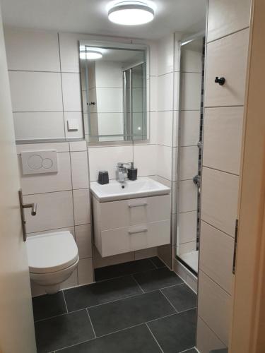 une salle de bain avec toilettes, lavabo et miroir dans l'établissement Apartment am Bocksberg, à Hahnenklee