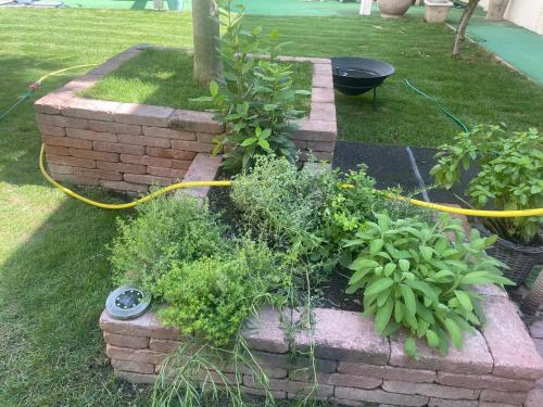 a garden with a yellow hose and some plants at MonPe apartmánik s atmosférou in Komárno