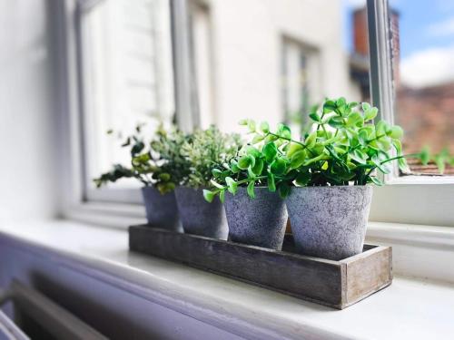 three potted plants sitting on a window sill at Castle Hotel in Eynsford