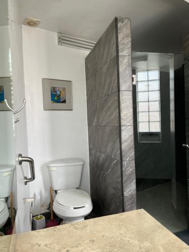a bathroom with a toilet and a shower at Genesis Suites / Lofts in San Luis Potosí