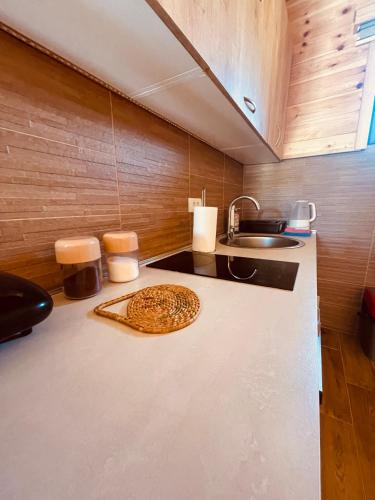 a kitchen with a counter top with a sink and a counter top at Guest House LENA in Žabljak
