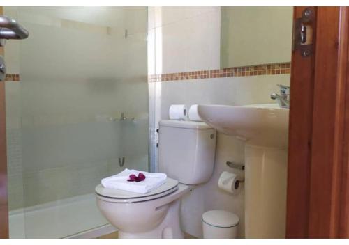 een badkamer met een wit toilet en een wastafel bij Anahi Homes Corralejo- Bicacarera 9 in La Oliva