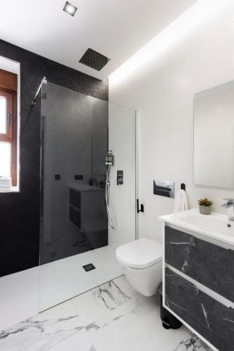a bathroom with a shower and a toilet and a sink at Apartamentos Casa del Arco de 2 a 6 personas in Andújar