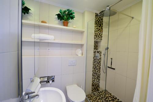 a bathroom with a shower and a sink and a toilet at Strandhochhaus SD06 in Cuxhaven