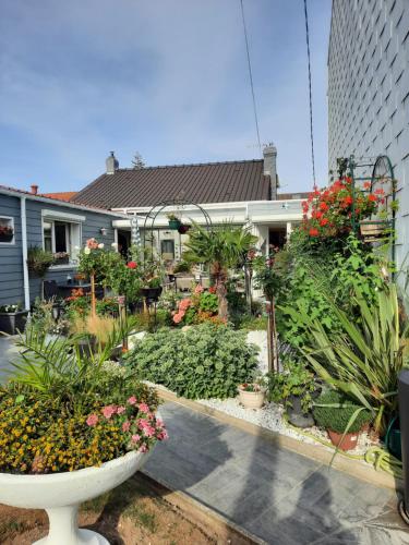 un jardin avec des fleurs et des plantes devant un bâtiment dans l'établissement Mon petit paradis, à Berck-sur-Mer