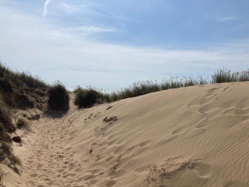a sand dune with grass on top of it at Nordpalais vor Sylt in Emmelsbüll-Horsbüll