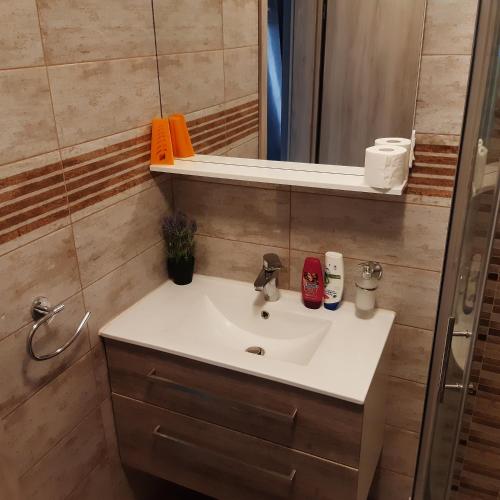 a bathroom with a sink and a mirror at APARTMA in SOBE PILIH in Vipava