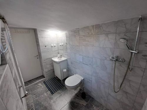 a bathroom with a shower and a toilet in it at Apartman Megolina in Varaždin